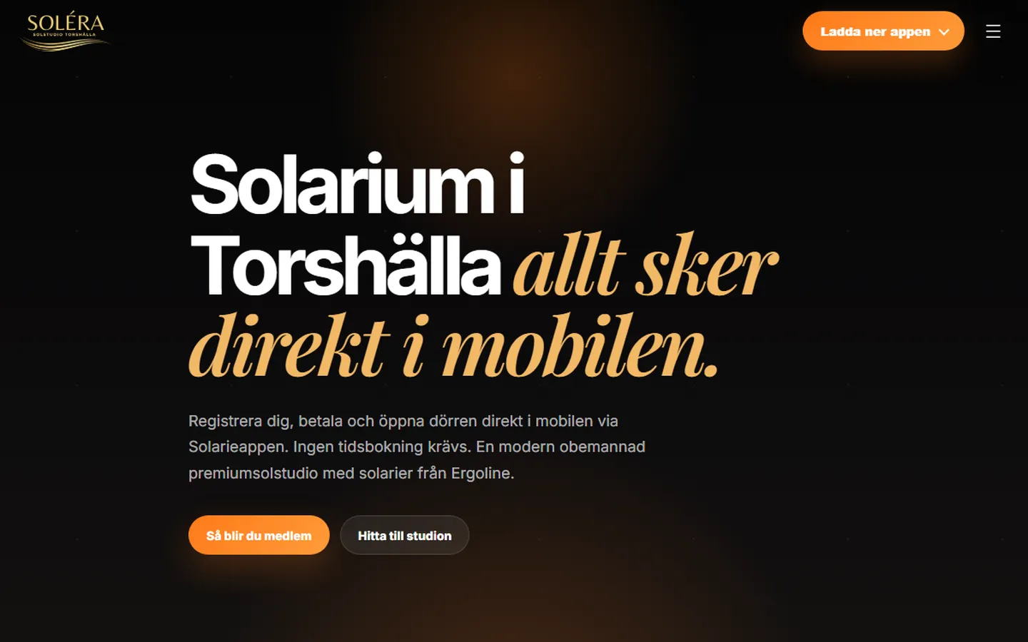 Startsidan på solerastudio.se, en hemsida byggd av MKDSGN
